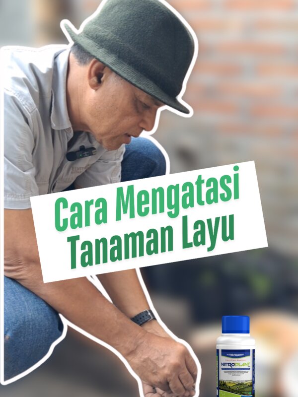 cara-mencegah-penyakit.jpg